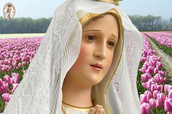 A consagração ao  Imaculado  Coração de Maria